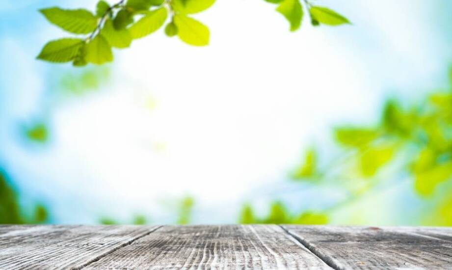 Jak cieszyć się smakiem dzięki stewii bez wyrzutów sumienia?