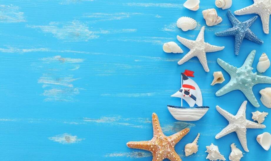 Jak muszle mogą wzbogacić ofertę w Twoim sklepie z pamiątkami?