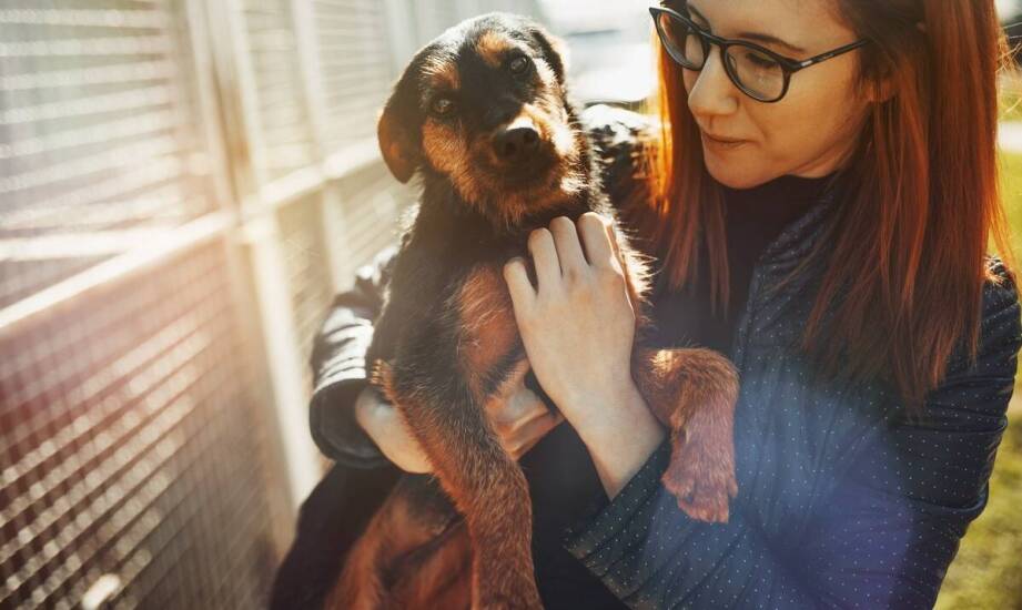 Zalety wyboru hodowli psów z indywidualnym podejściem