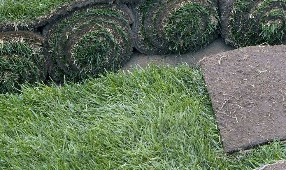 Trawa z rolki jako element nowoczesnych krajobrazowych projektów