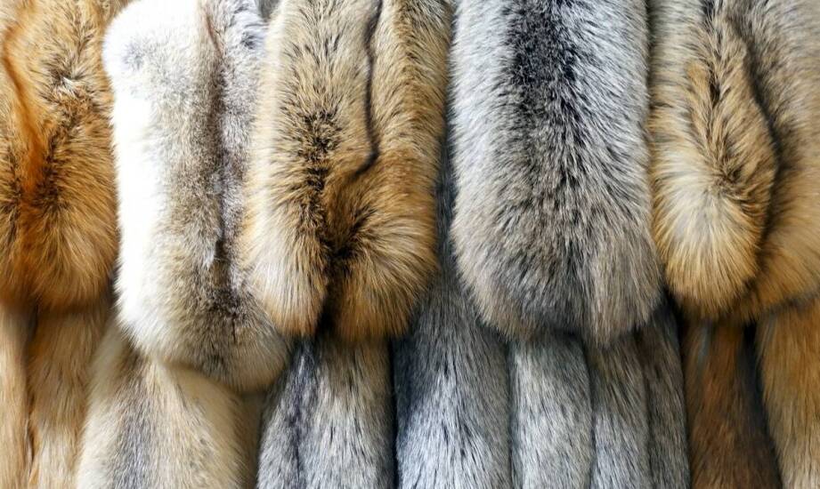 Dlaczego warto inwestować w futrzarską odzież wysokiej jakości?