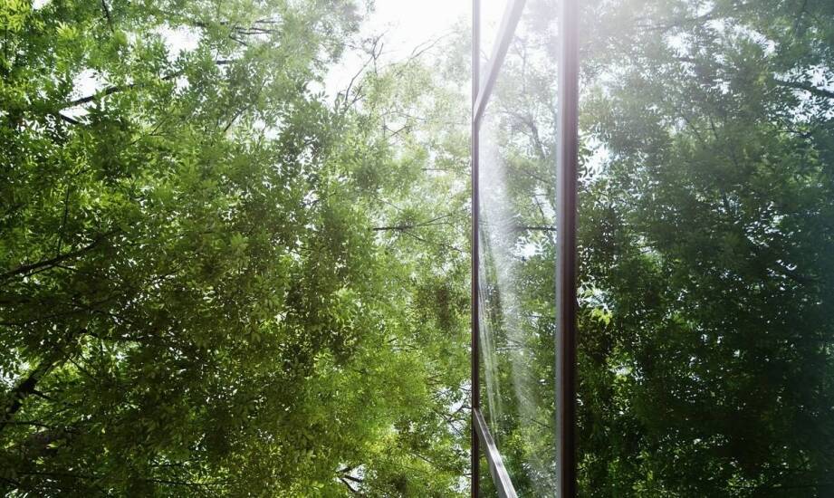 Wpływ leśnej siatki na ochronę przyrody i jej zastosowanie w ekologicznych projektach