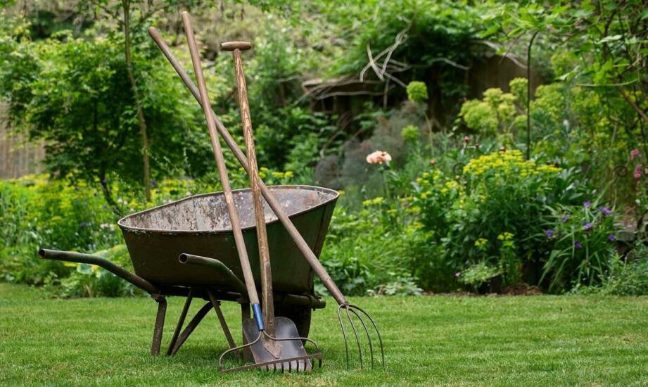 Zrównoważone praktyki pielęgnacyjne dla długowieczności trawnika z rolki.