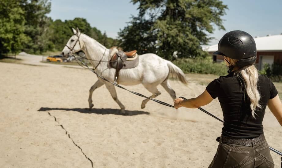 Wpływ odpowiedniego podłoża na zdrowie i wydajność dla koni