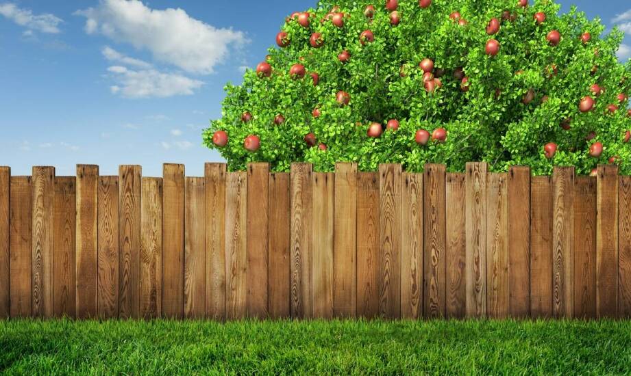 Jakie wykończenia oferuje się dla łupanych i gładkich ogrodzeń?