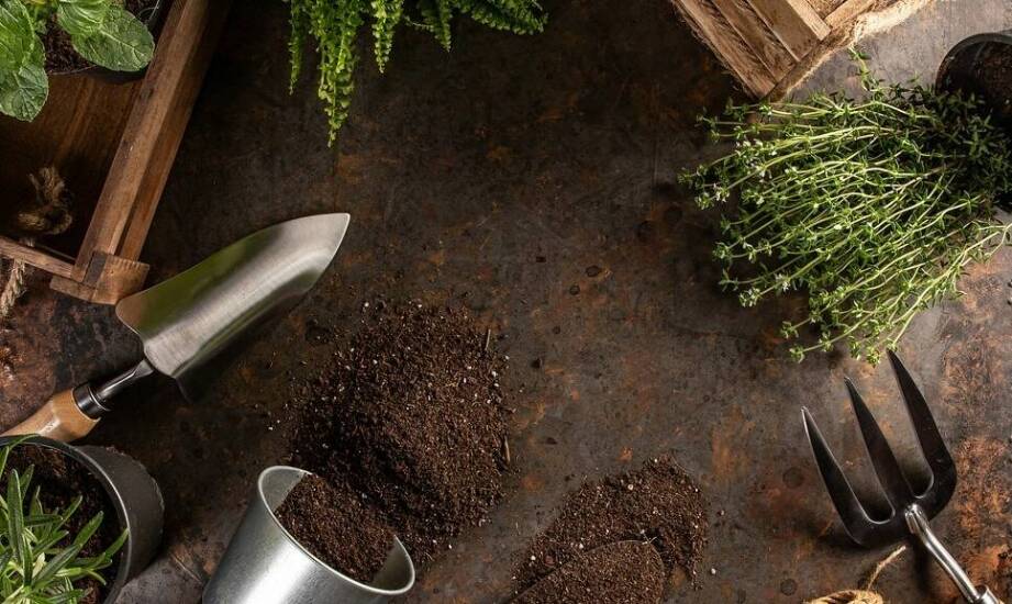 Na co zwrócić uwagę przy wynajmie glebogryzarek do prac ogrodniczych?