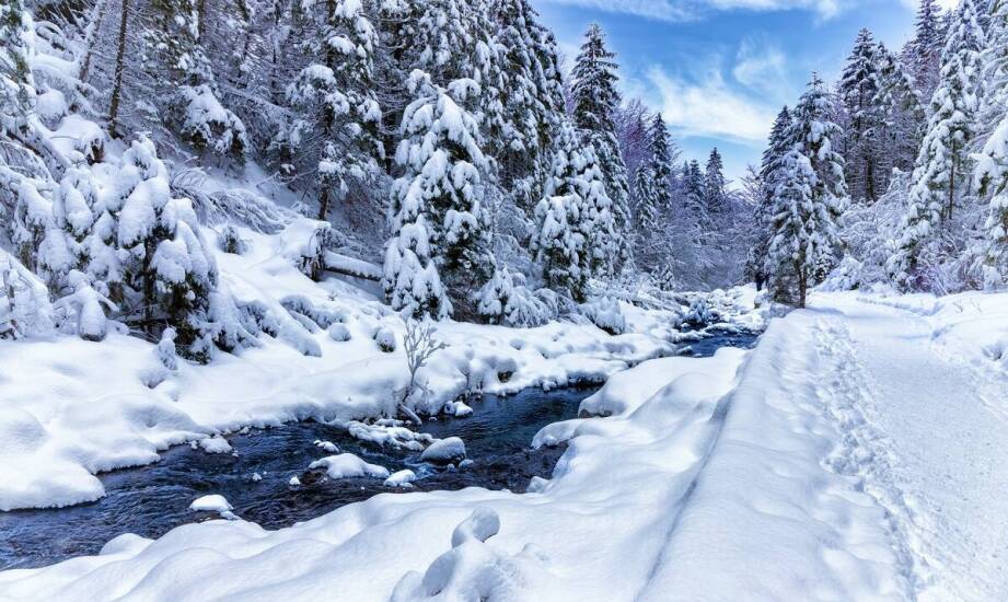Sanki w Czechach – gdzie szukać najpiękniejszych krajobrazów?