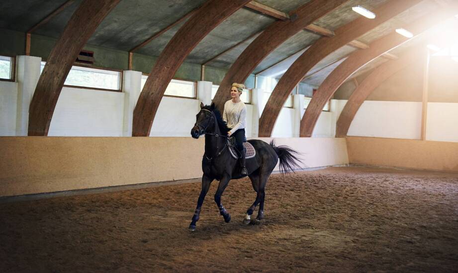 Jak często należy wymieniać podłoże na ujeżdżalni, aby zapewnić koniom bezpieczeństwo?