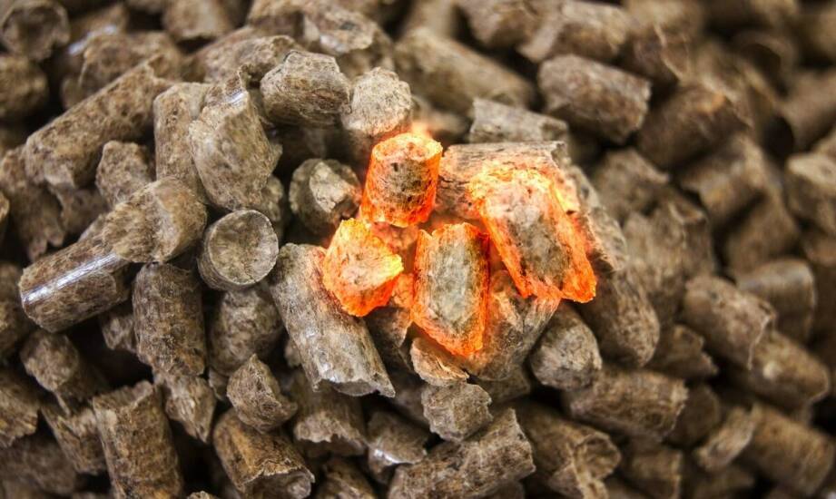 Jak ekogroszek z Knyszyna wspiera zrównoważony rozwój energetyczny?