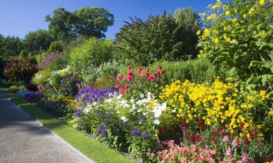 Adaptacja ogrodowych projektów do specyficznych warunków terenowych