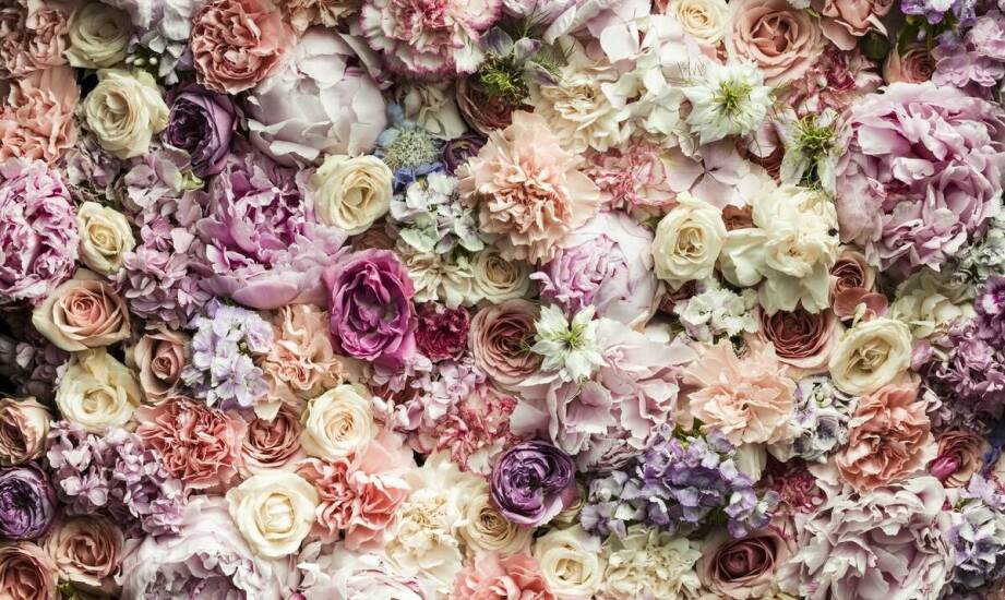 Wieczne róże w vintage aranżacjach: jak osiągnąć stylowy efekt?