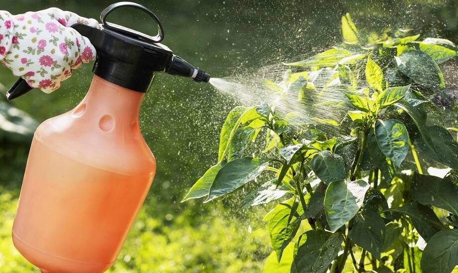 Jak opryskiwacze mogą zwiększyć wydajność w ogrodnictwie?