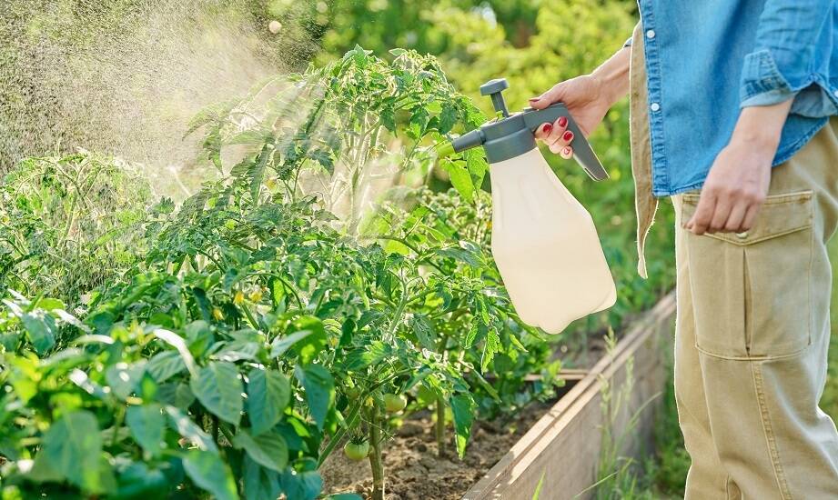 Kwazar Venus 2L: kluczowe cechy i zastosowania