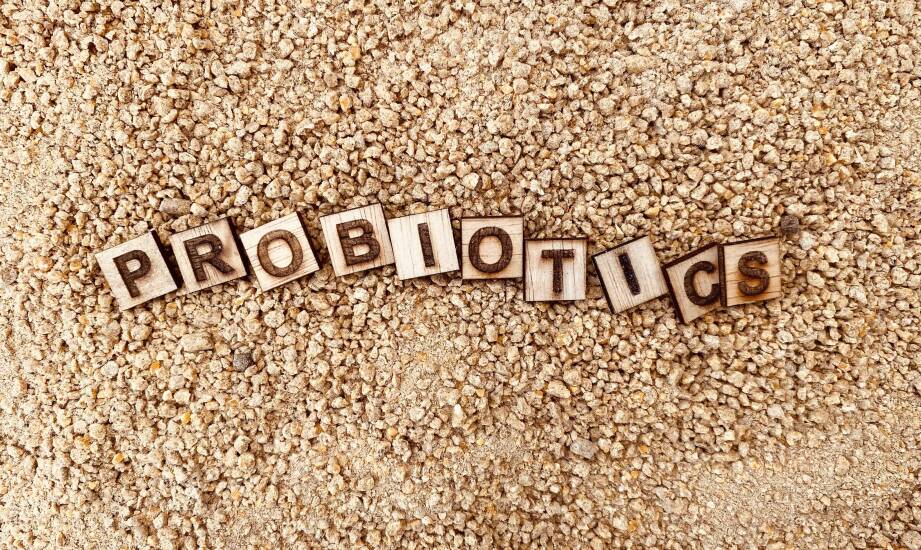 Stosowanie probiotycznych leków przed wyjazdem do egzotycznych krajów