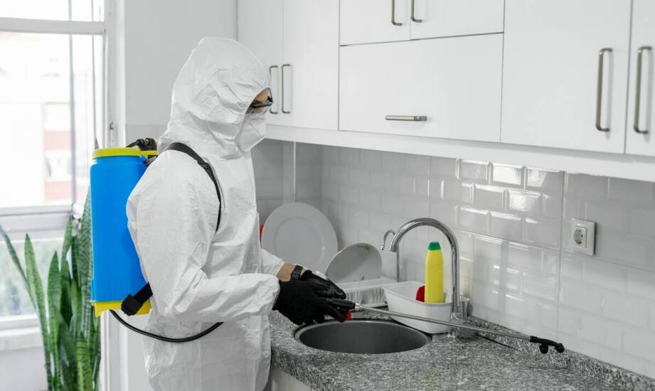 Bezpieczne metody dla ludzi i zwierząt domowych przy eliminacji karaluchów