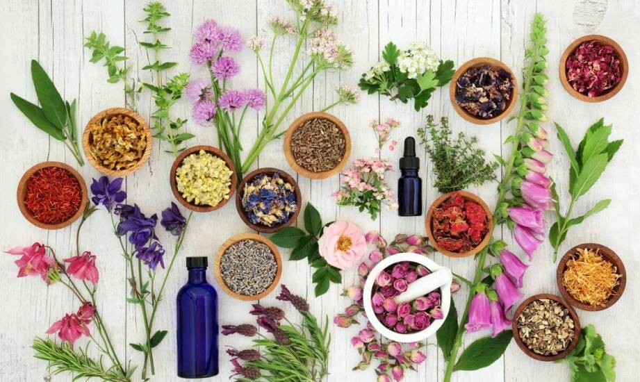 Zioła na układ moczowy – co oferuje zielarski sklep internetowy?