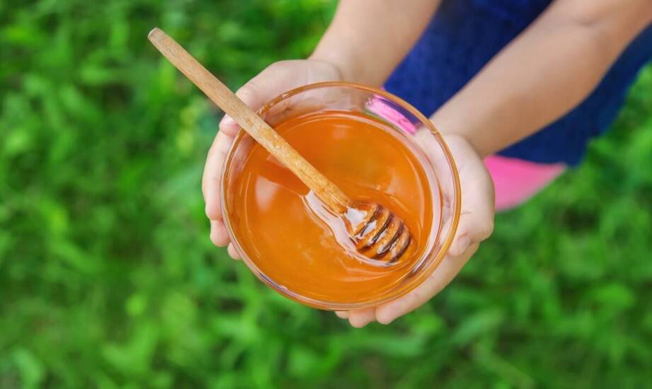 Iglasty miód spadziowy w profilaktyce chorób przewlekłych