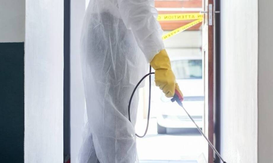 Skuteczna walka z gryzoniami dzięki profesjonalnym usługom do deratyzacji