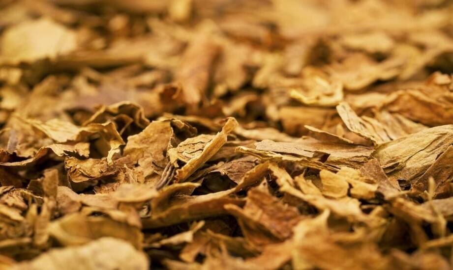 Jak liściaste zrębki mogą wspierać zrównoważony rozwój w przemyśle?