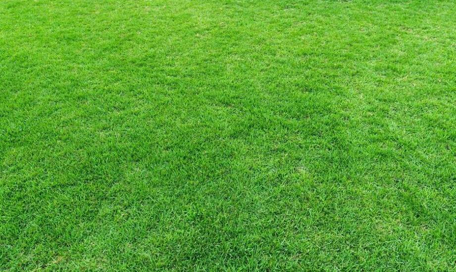 Jak zapobiegać erozji na wielkopowierzchniowych trawnikach?