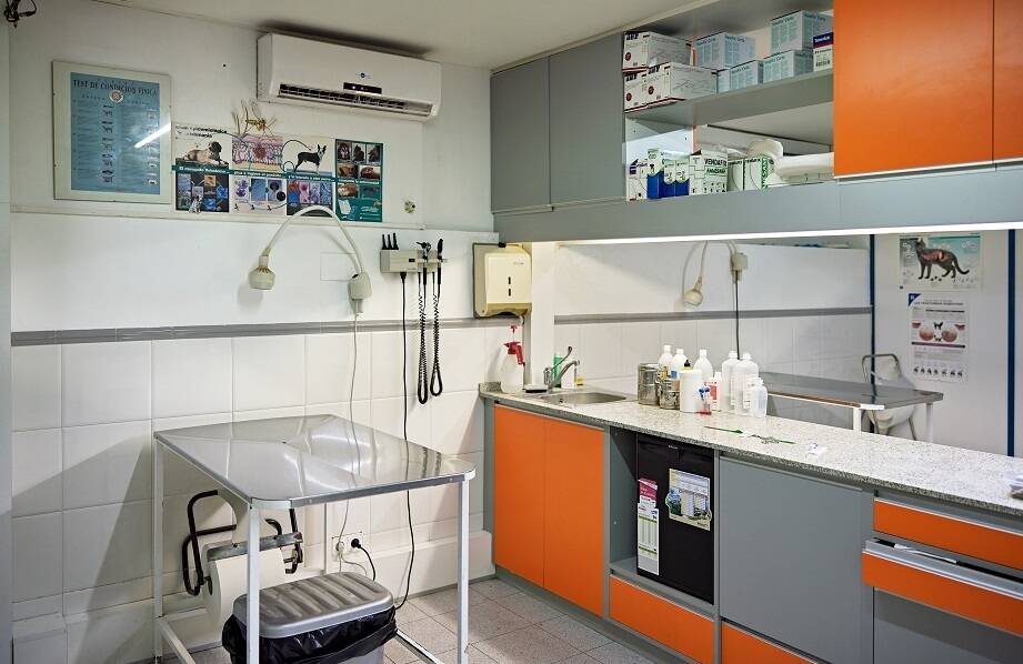 Jakie meble do weterynaryjnego gabinetu są niezbędne dla komfortu pacjentów?