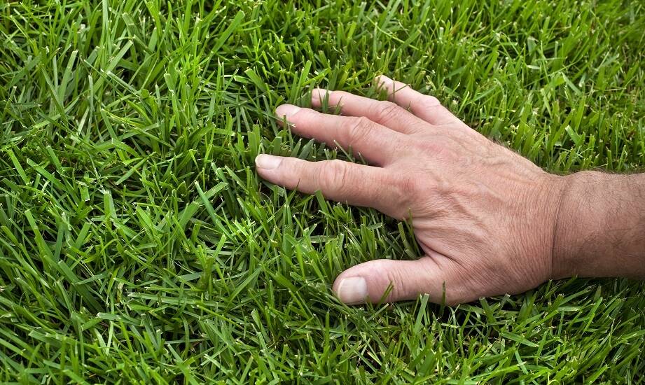 Jakie narzędzia są niezbędne do pielęgnacji trawników z rolki?