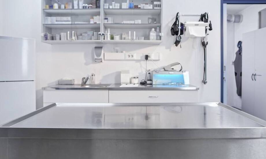 Kompleksowe wyposażenie weterynaryjnego gabinetu – co warto wiedzieć?