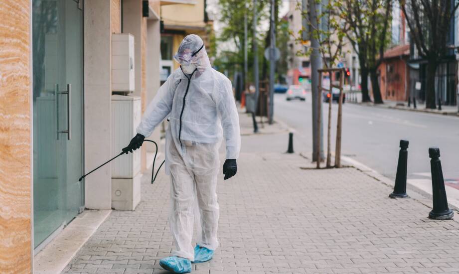 Wyzwania związane z deratyzacją w przemysłowych obiektach