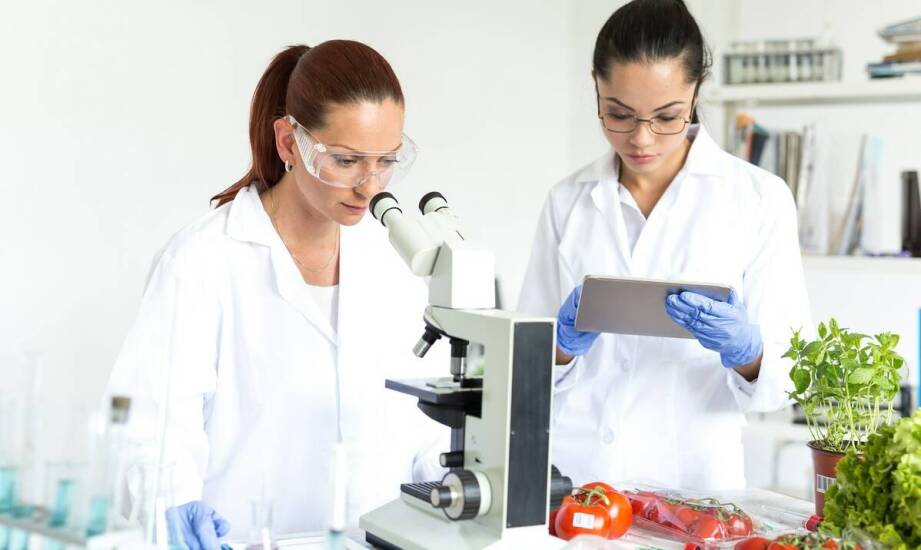 Znaczenie sanepidowskich badań w branży spożywczej