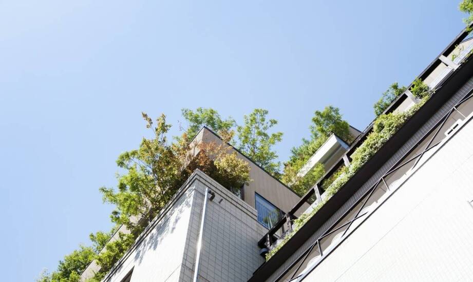 Lekki kontener jako element zrównoważonego rozwoju dla przedsiębiorstw