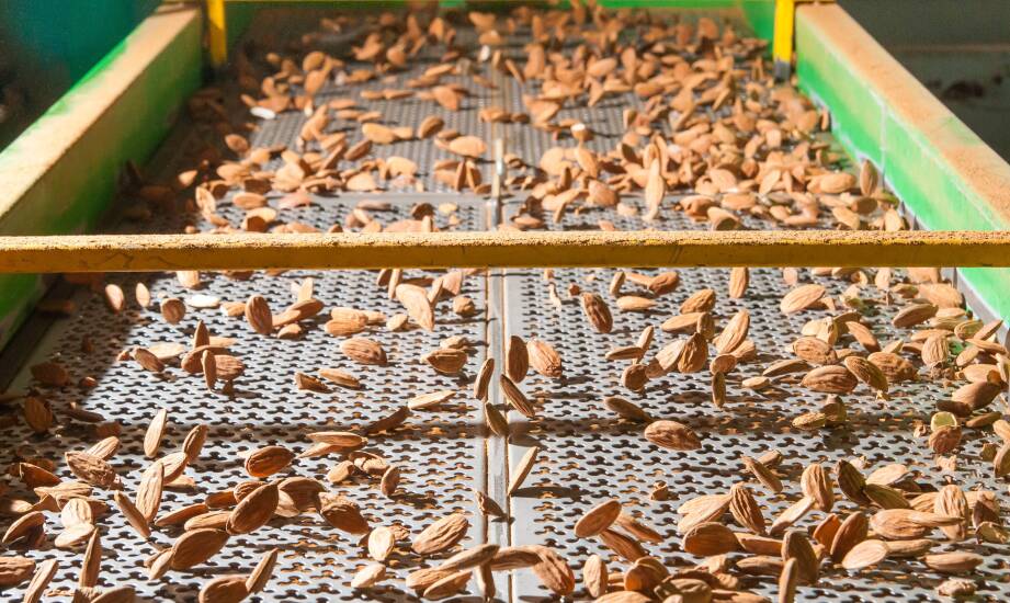 Wpływ nowoczesnych urządzeń do prażenia nasion na wydajność produkcyjnych linii