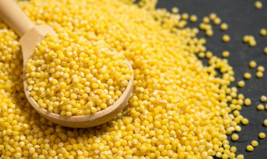 Jak bio kasza jaglana wpływa na poziom energii i witalność?