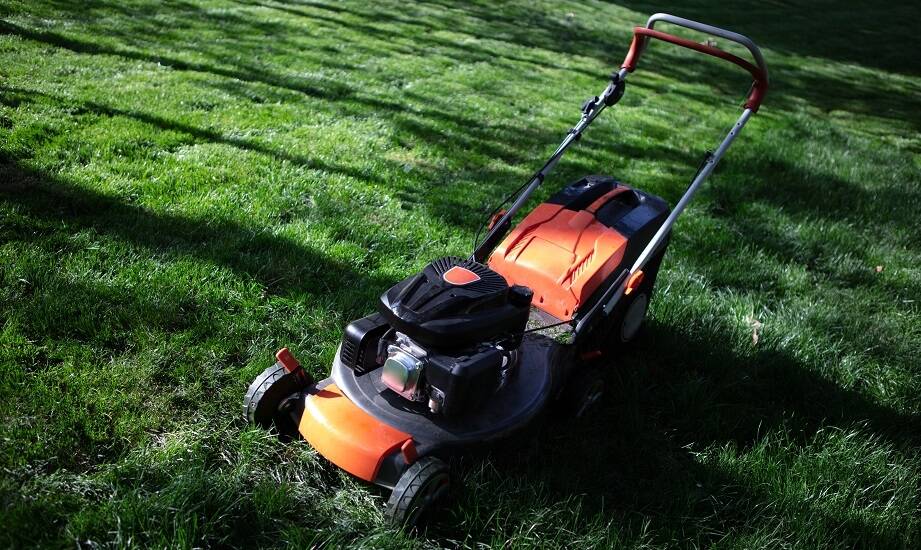 Kosiarki: jak wybrać model dostosowany do wielkości ogrodu?