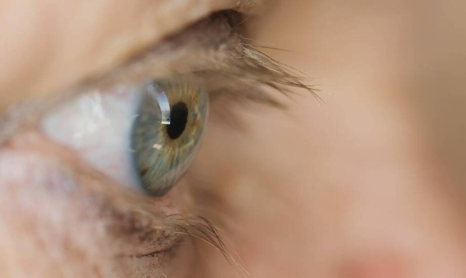 Jakie są potencjalne przyczyny problemów z żółtą plamką i jak je diagnozować?