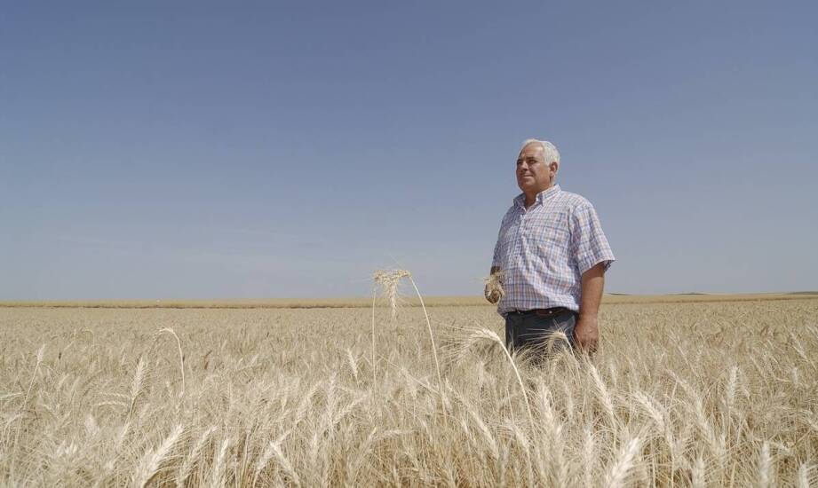 Bezpieczeństwo transakcji w skupie zboża – jak zapewniamy je?