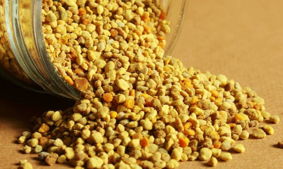 Mleczko pszczele w kapsułkach – naturalne wsparcie dla odpornościowego układu