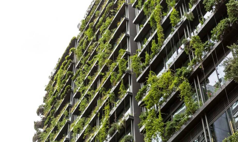 Jak elewacje roślinne wpływają na efektywność energetyczną budynku?