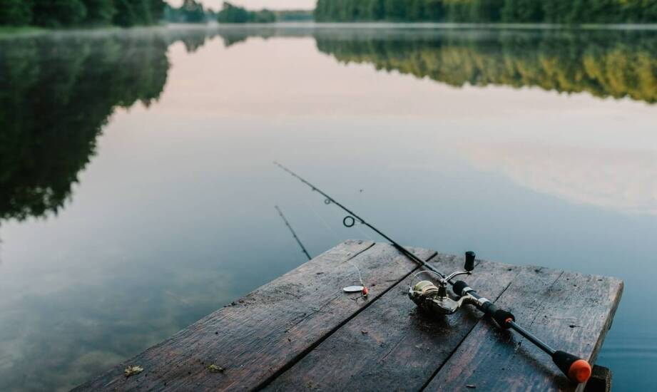 Rola big pit kołowrotków w zrównoważonym wędkarstwie