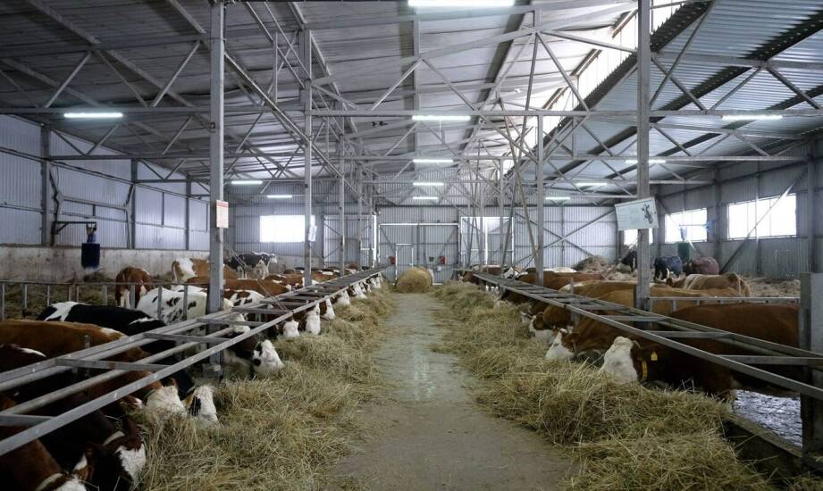 Wpływ konstrukcji hali na rolnicze maszyny na efektywność pracy w gospodarstwie