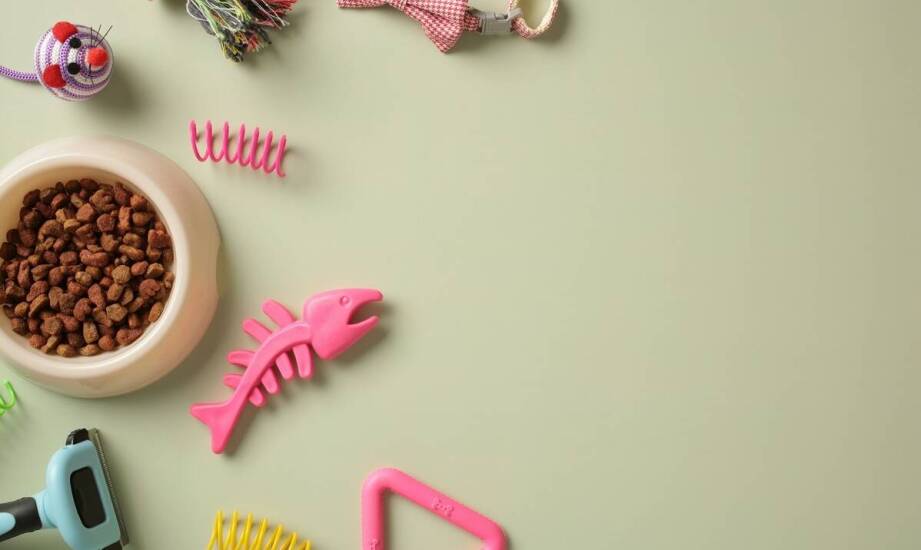 Rola nienasyconych tłuszczowych kwasów w suchych karmach dla psów