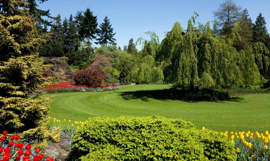 Skuteczne techniki koszenia nieużytkowych terenów dla zachowania ich estetyki