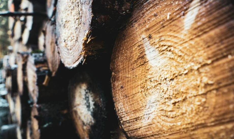 Jakie innowacje wpływają na rozwój drewnianych opakowań?