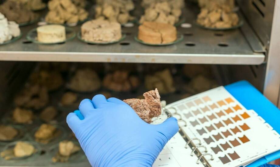 Znaczenie frakcji piasku w procesie tworzenia chemii budowlanej