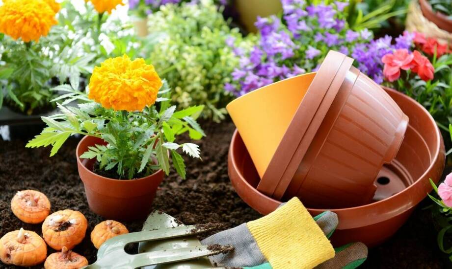 Rola ogrodniczej hurtowni w rozwoju zrównoważonego rolnictwa