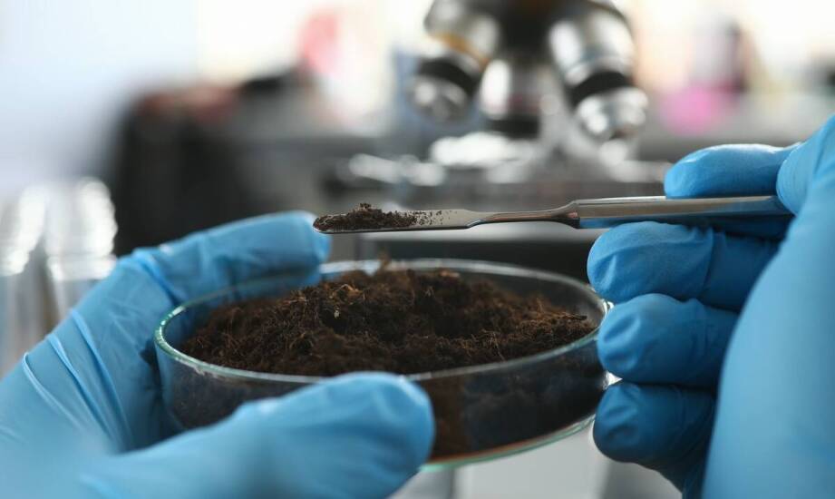 Jak przebiega analiza gruntu przed realizacją głębinowych odwiertów?