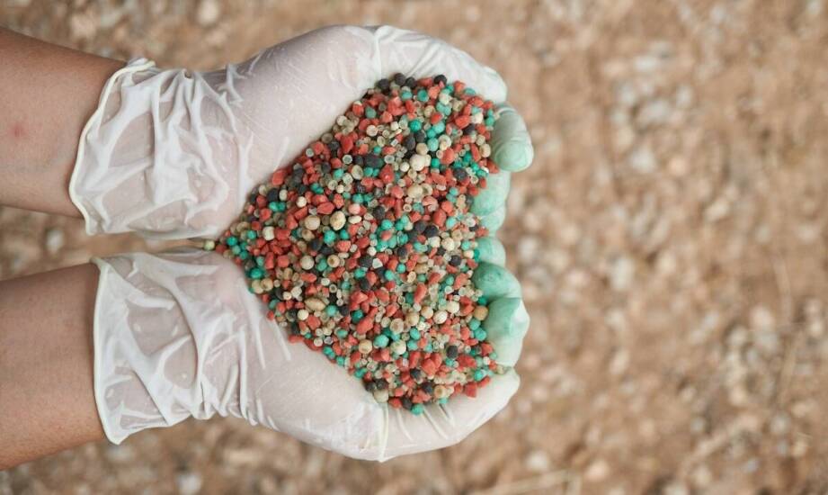 Profesjonalne doradztwo przy wyborze odpowiednich nawozów