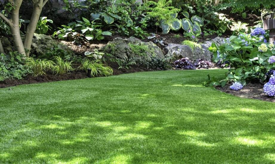 Jakie typy podłoża najlepiej współgrają z renowacyjną trawą?