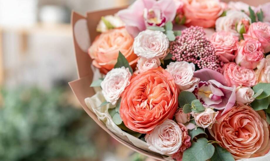 Jakie kolory herbacianych róż najlepiej komponują się w ogrodzie?