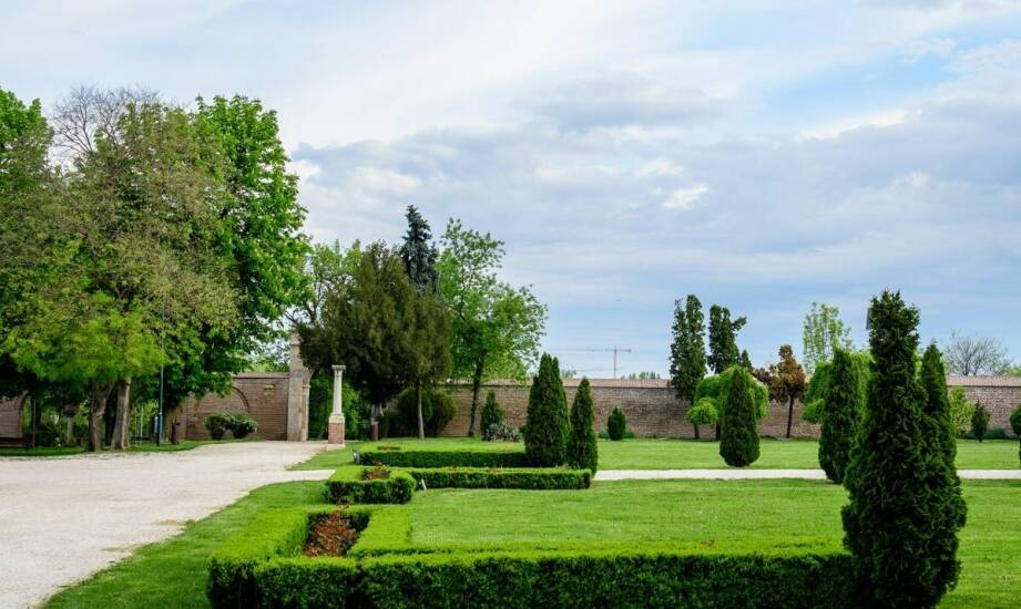 Ciekawe zastosowania w architekturze krajobrazu wierzby iwy