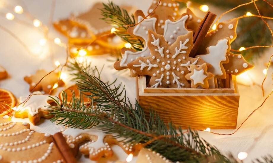 Wybór odkrawaczek – na co zwrócić uwagę?